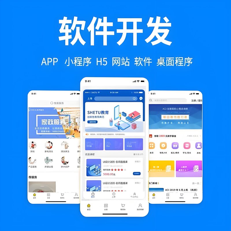 软件开发定制:为未来铺路